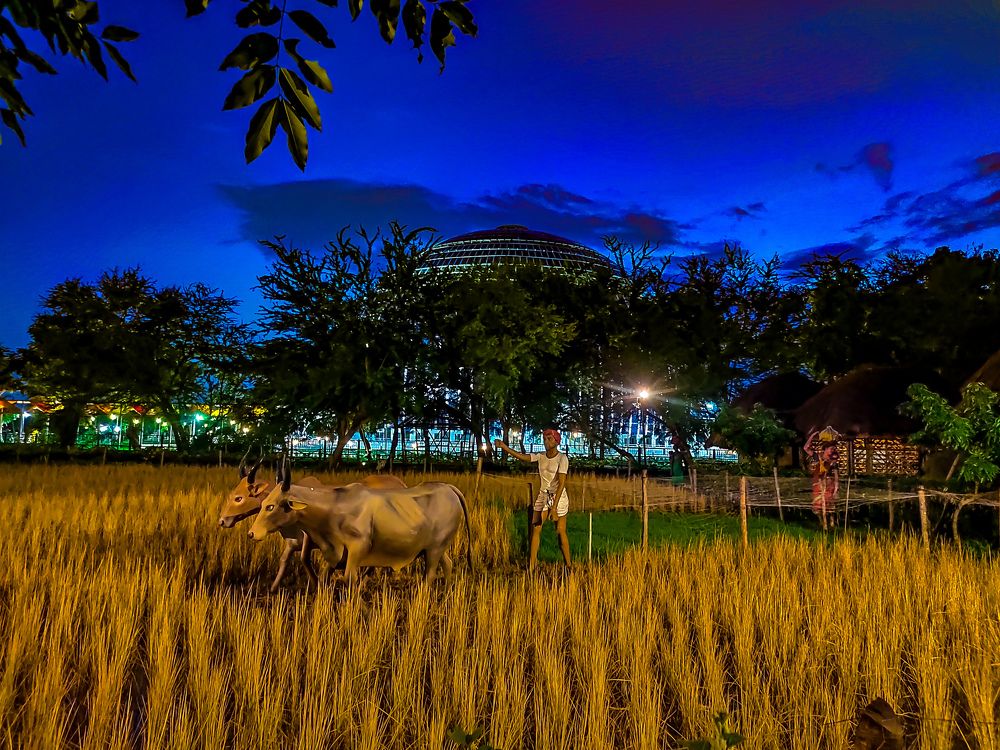 Photograph by Shankhadip Choudhury