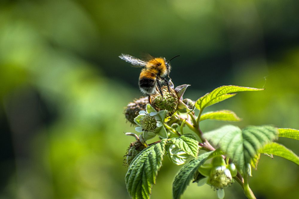 Photograph by Оксана Губанова