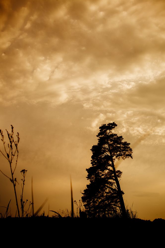 Photograph by Натали Захарова (Тай)