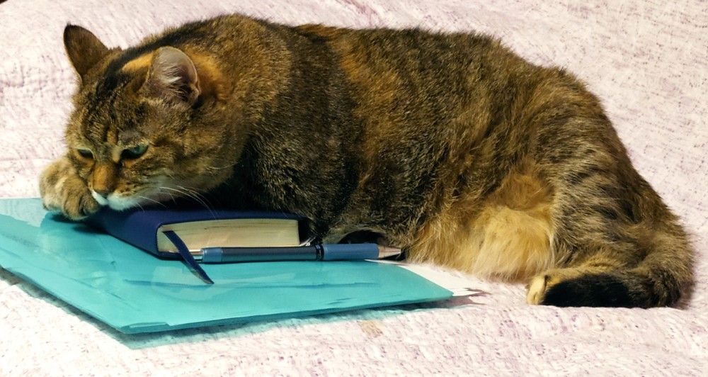 Photograph by Татьяна Клемба