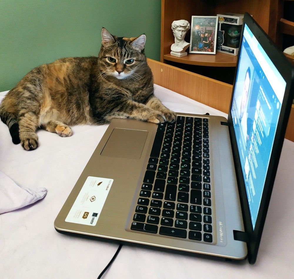 Photograph by Татьяна Клемба