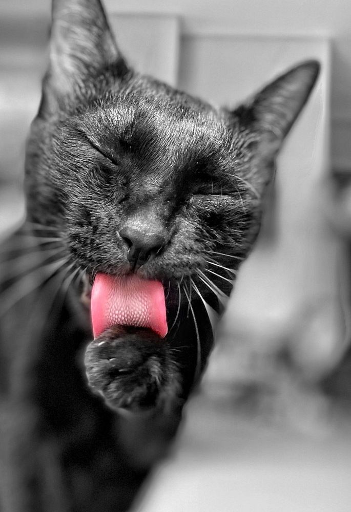 Photograph by Ирина Сорока