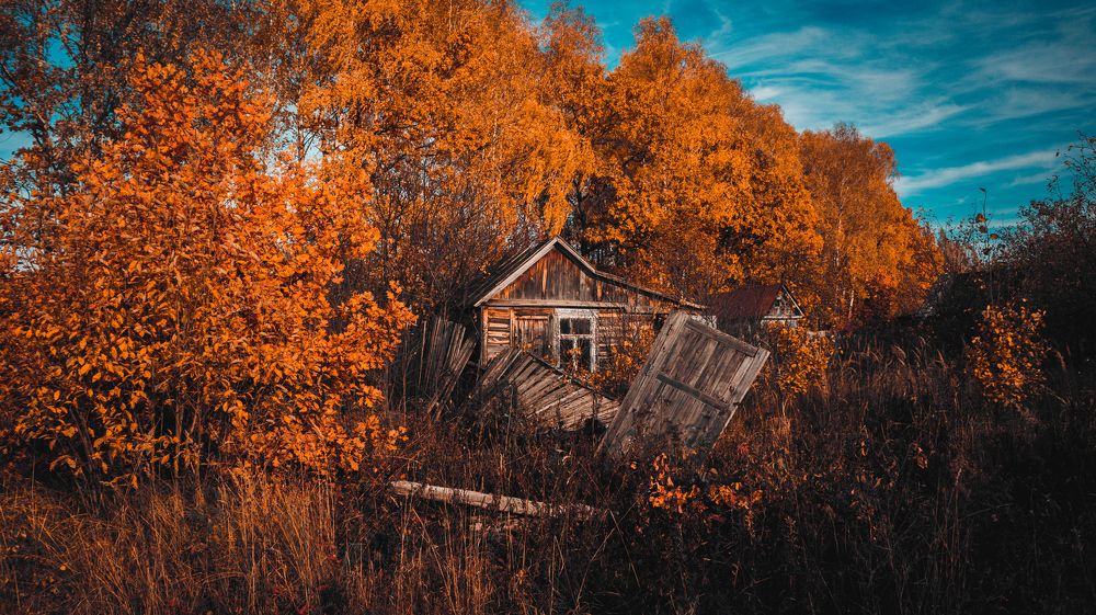 Photograph by Denis Romanov