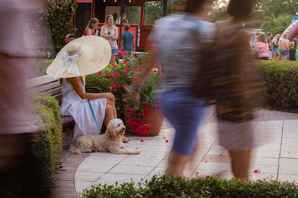 Photograph by Мирная Ксения