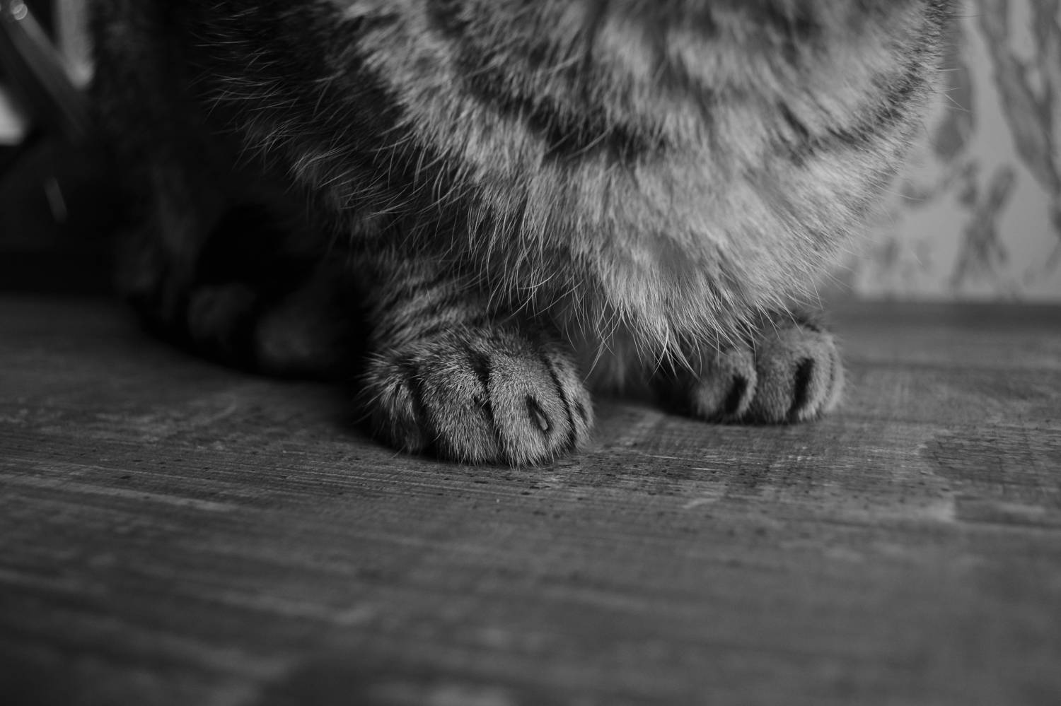 Photo #9446637