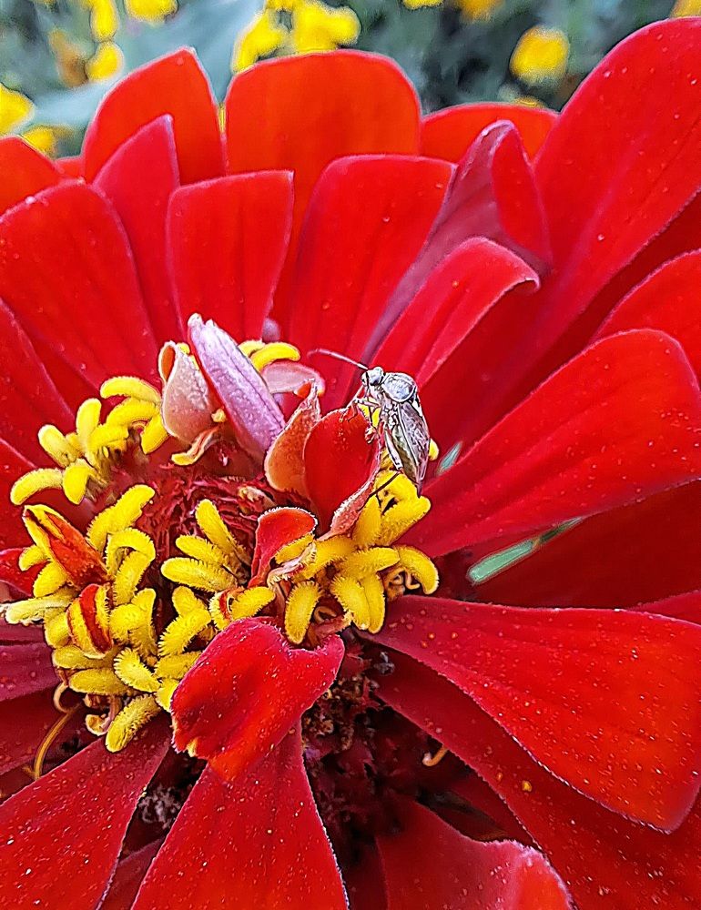 Photograph by Николай Худяков