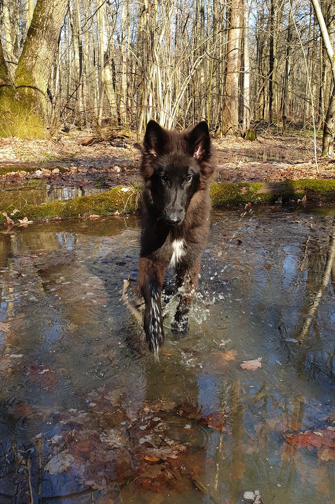 Фотография автора Надежда Лисицына