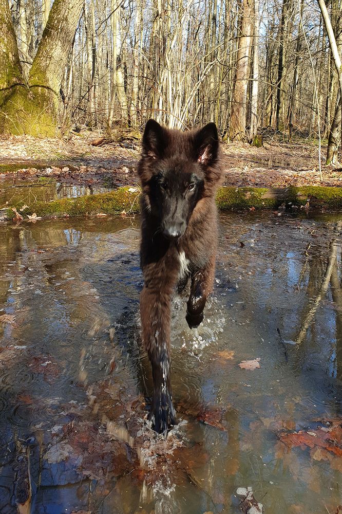 Фотография автора Надежда Лисицына