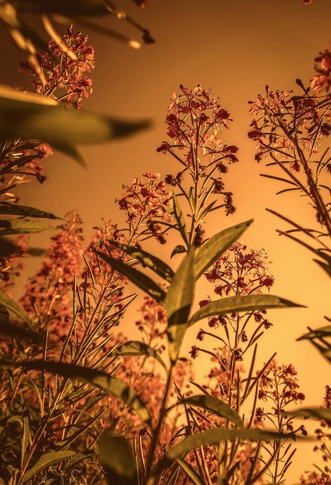 Photograph by Ксения Хачатурова