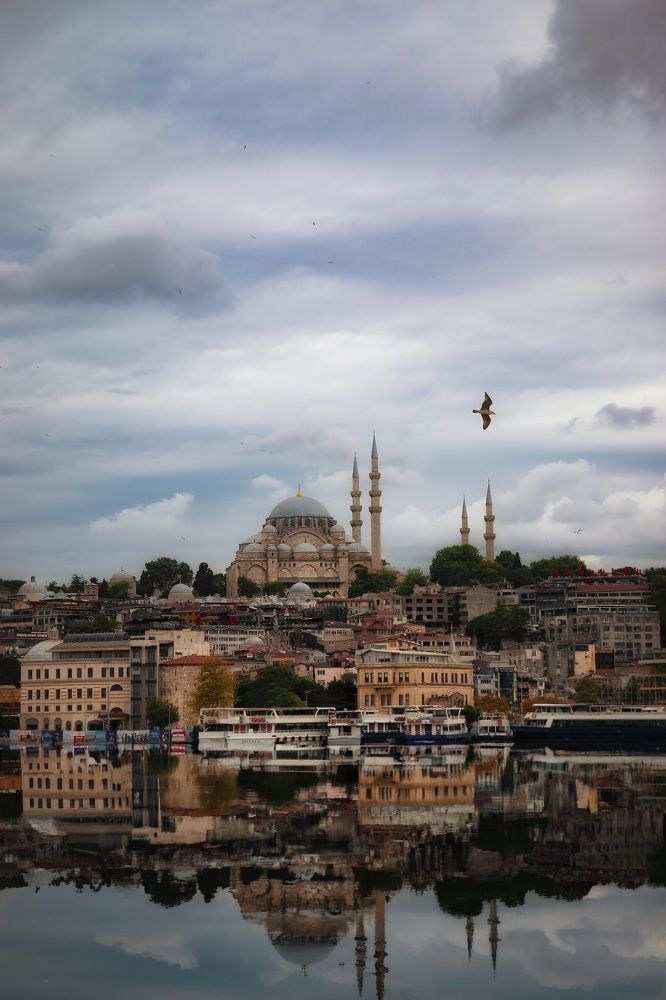 Photograph by Дарья Вега