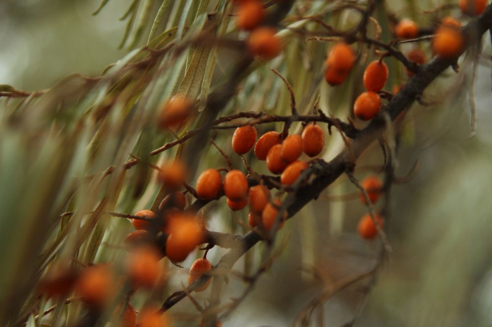 Photograph by Наталья Волкова