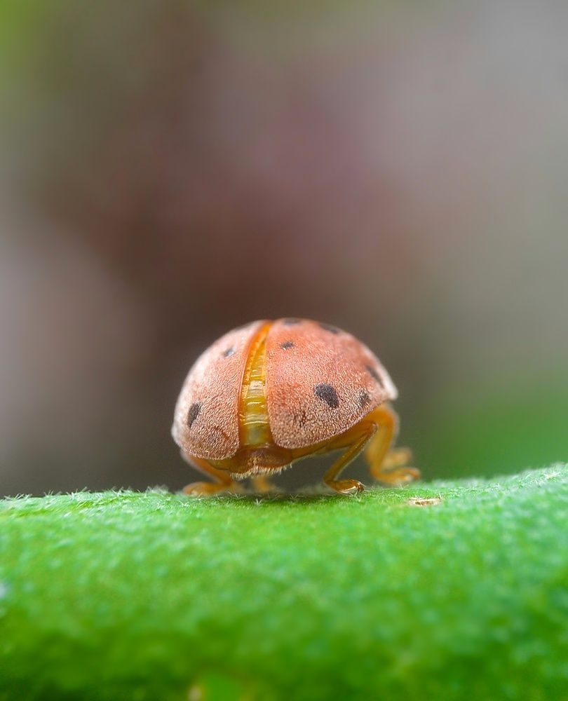 Photograph by Kasun Wickramasinghe