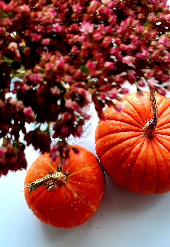 Photograph by Светлана