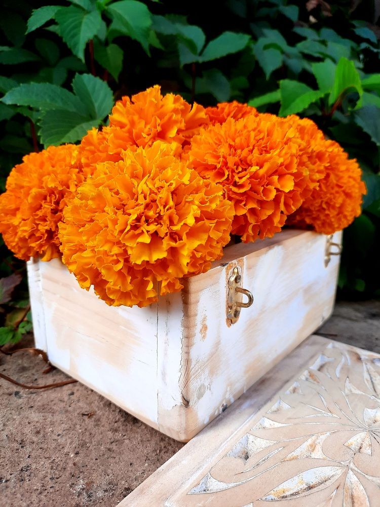 Photograph by Светлана