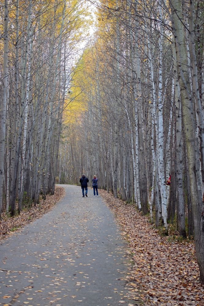 Photograph by Виталий Са