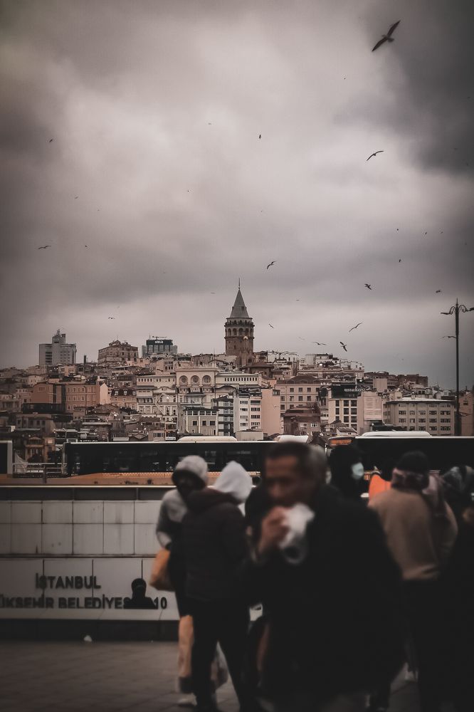 Photograph by Darya Вега