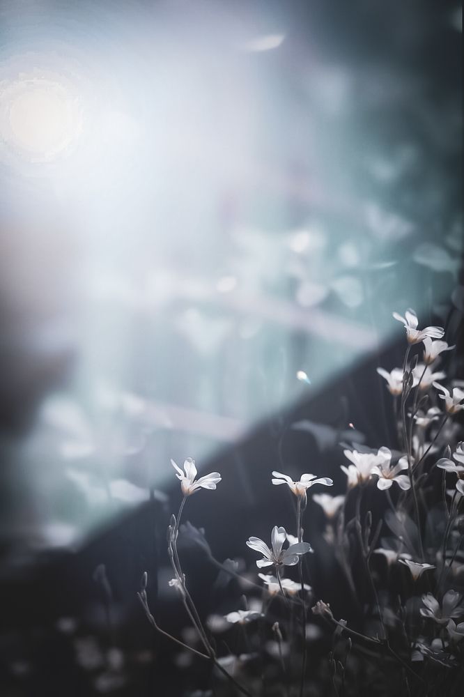 Photograph by Darya Вега