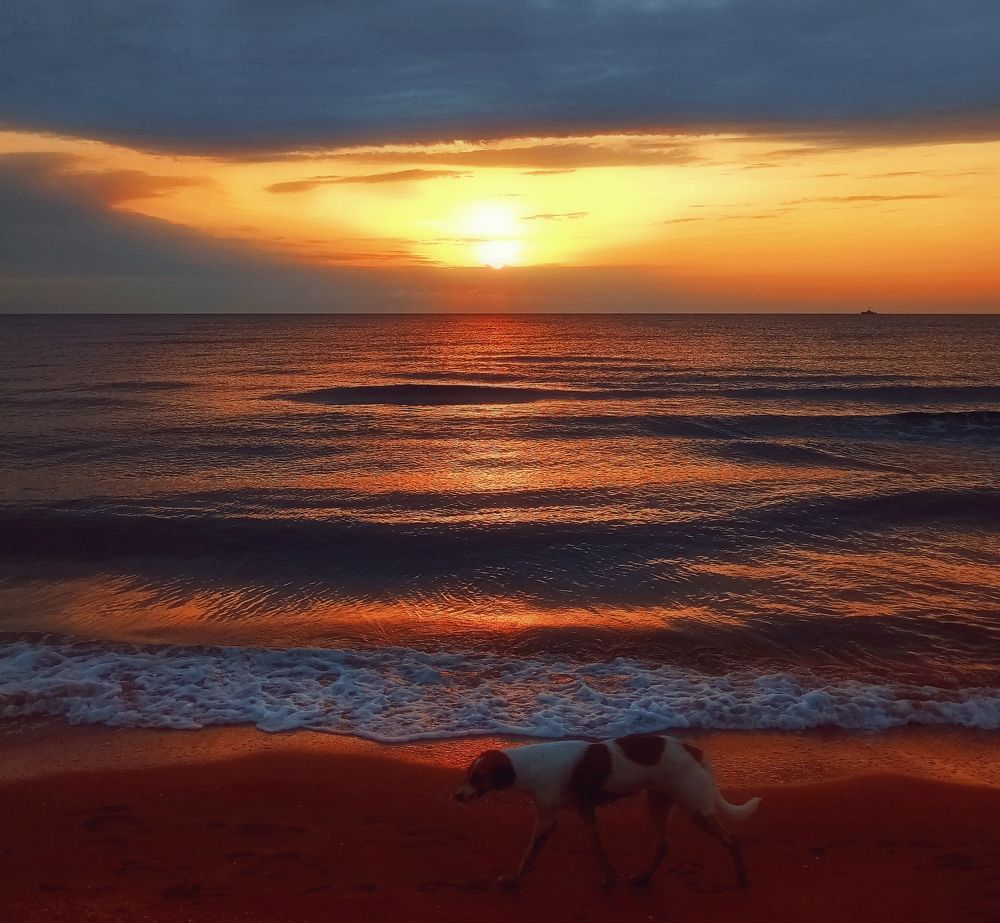 Фотография автора Марият Магомедова