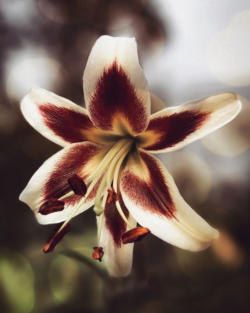 Photograph by Татьяна Волохова