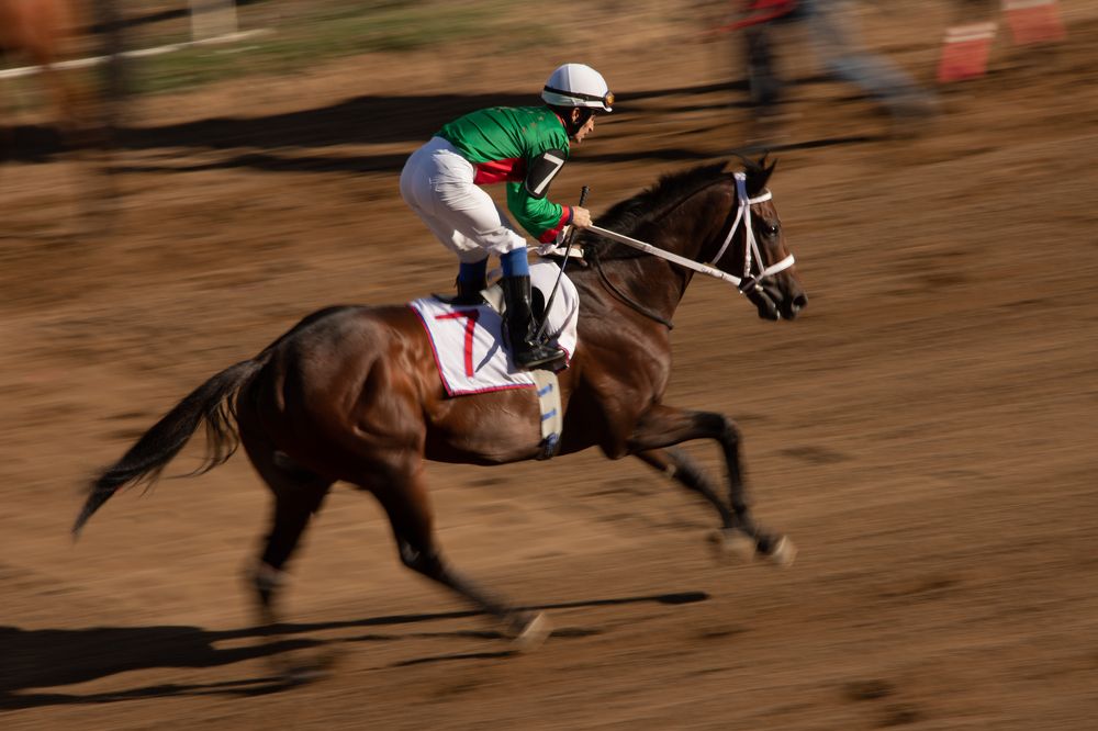 Photograph by Aleksandra