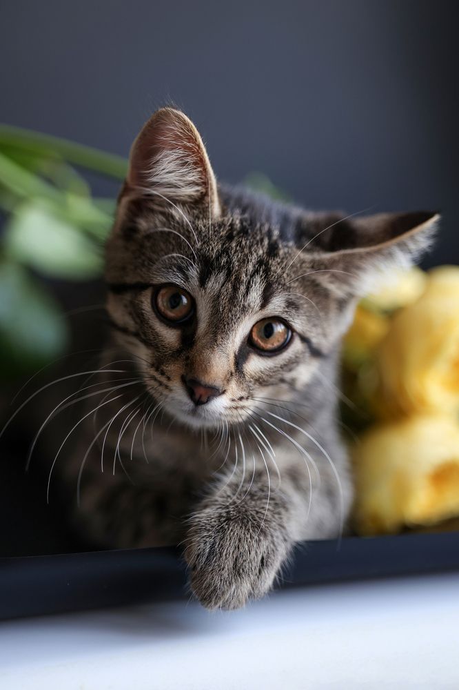 Photograph by Екатерина Свириденко