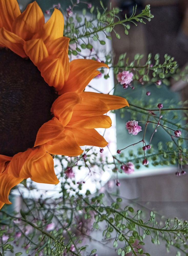 Photograph by Марина Рукавичко