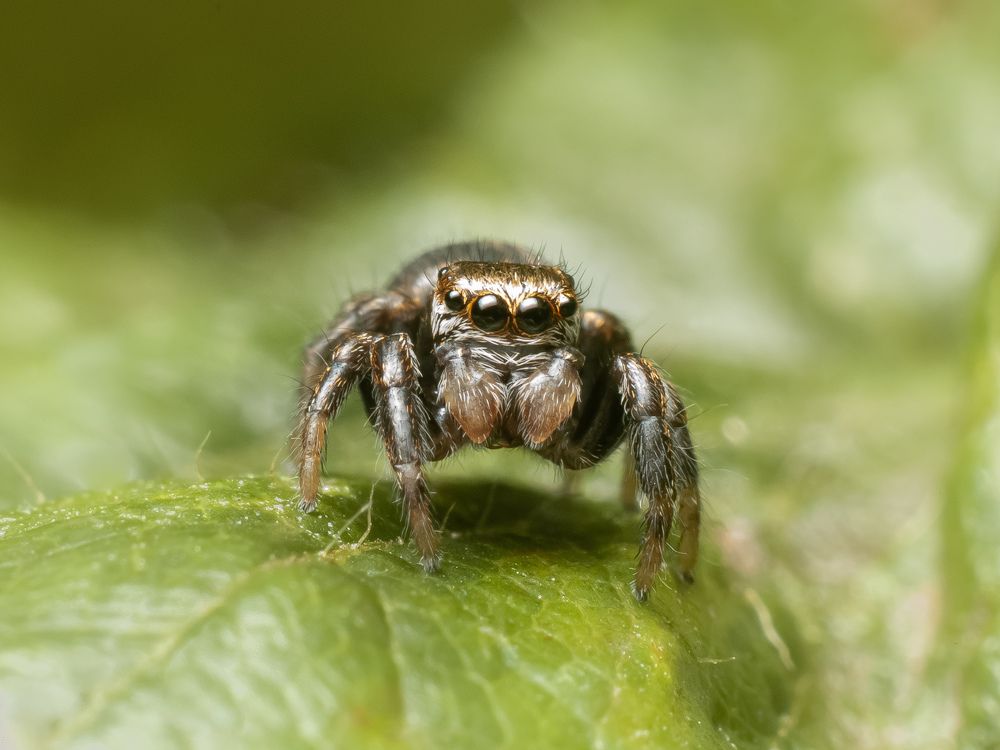 Photograph by Екатерина Котляренко