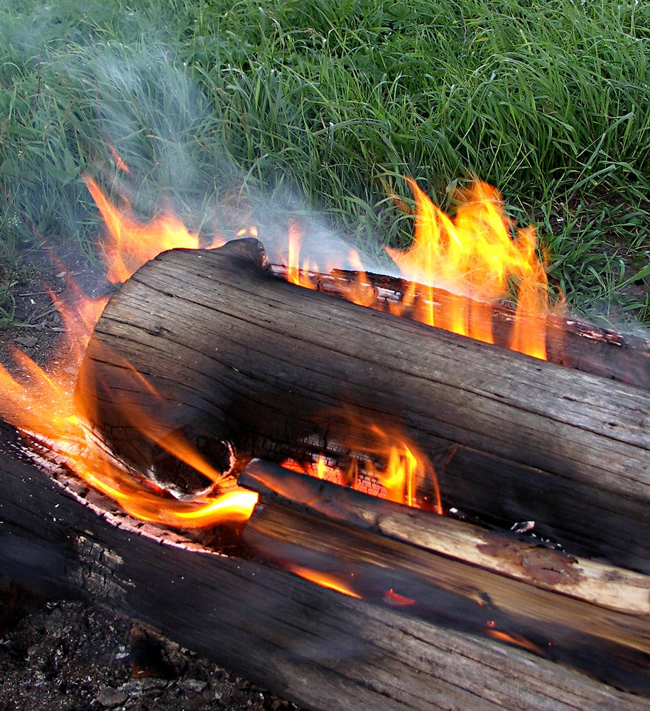 Photograph by Анатолий Максимов