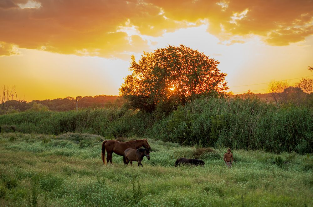Оранжевый закат