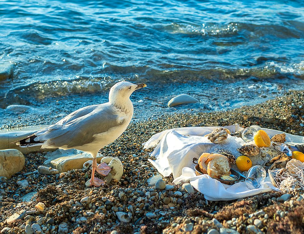 Photograph by Дайман Лия