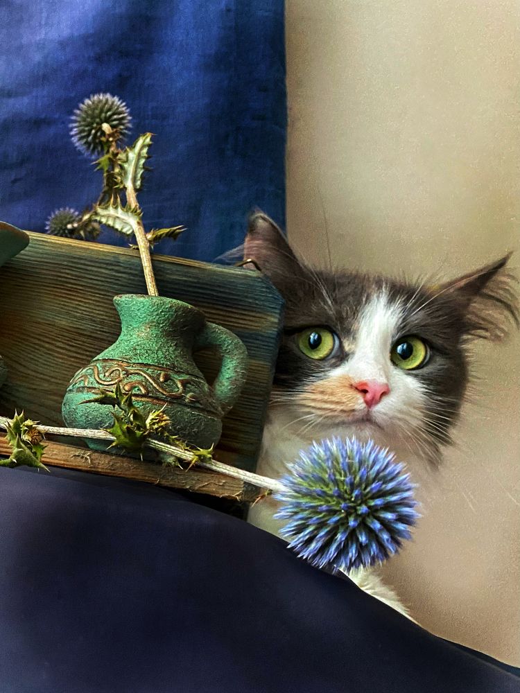 Фотография автора Екатерина Круглик