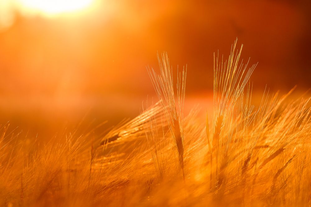 Photograph by PYATNITSKIY ANDREY