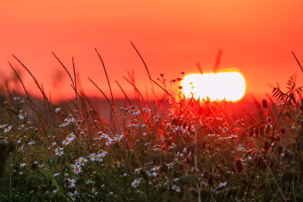 Photograph by Шишкалов Константин