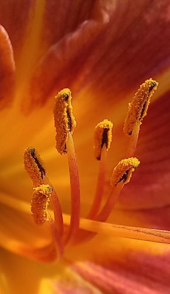 Photograph by Евгений Савулькин