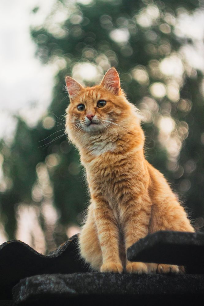 Photograph by Анна Дубинина