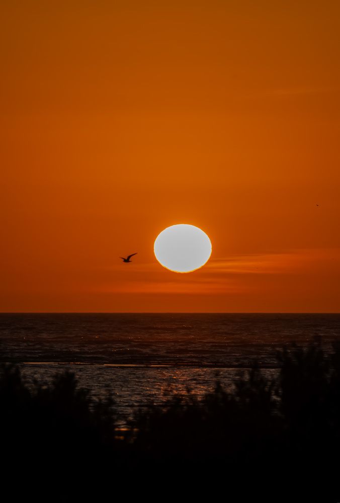 Фотография автора Sajeev Krishnan