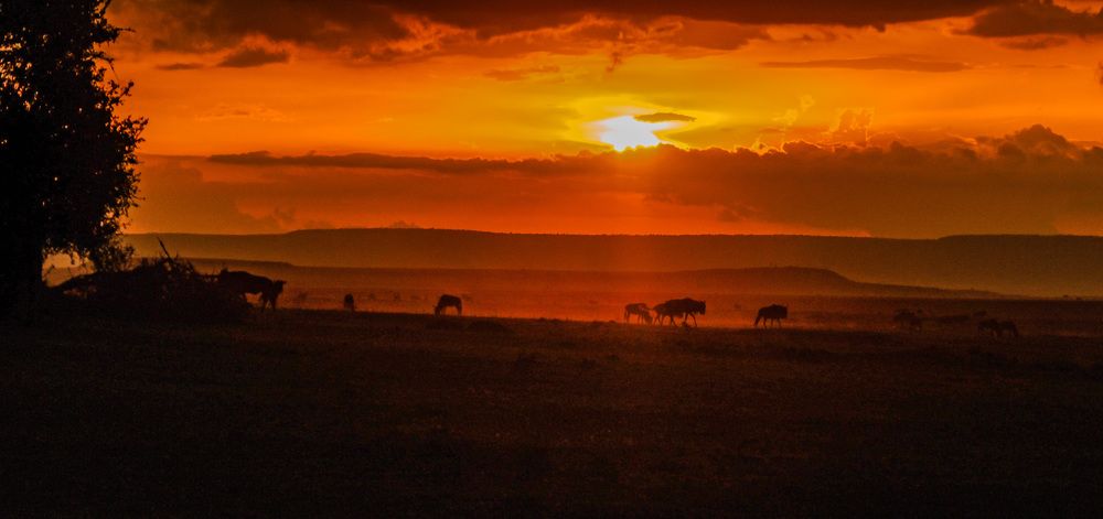 Фотография автора Sajeev Krishnan