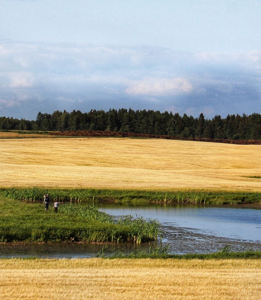 Photograph by Татьяна Сычева