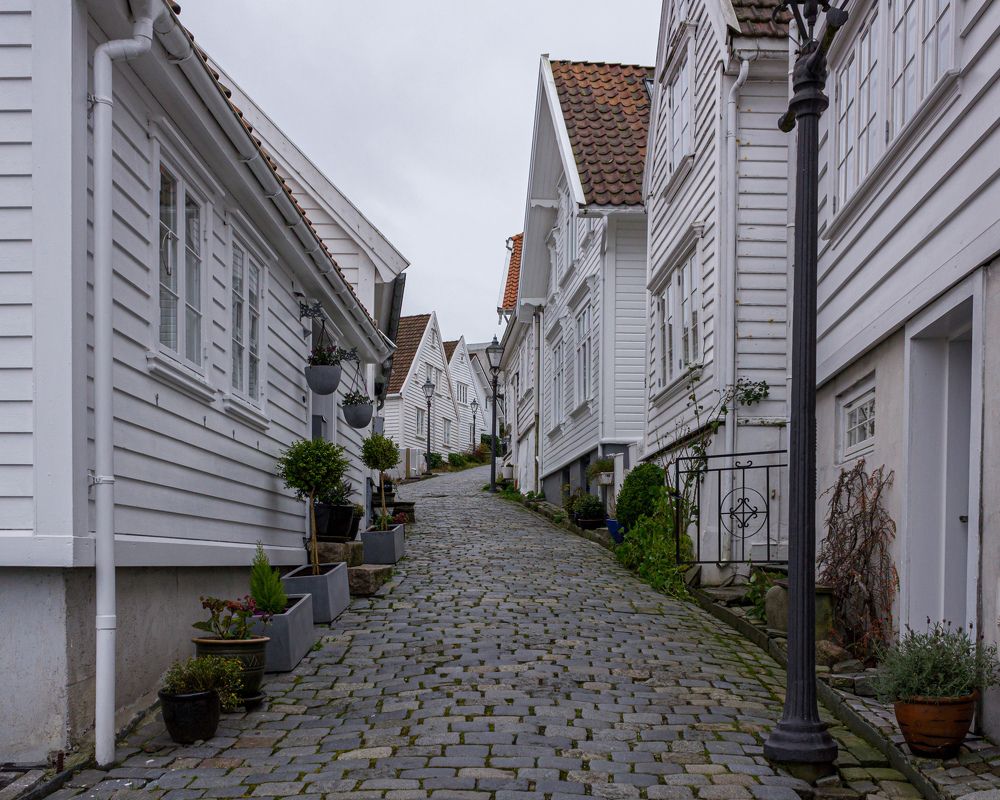 Фотография автора Minja Jovetic