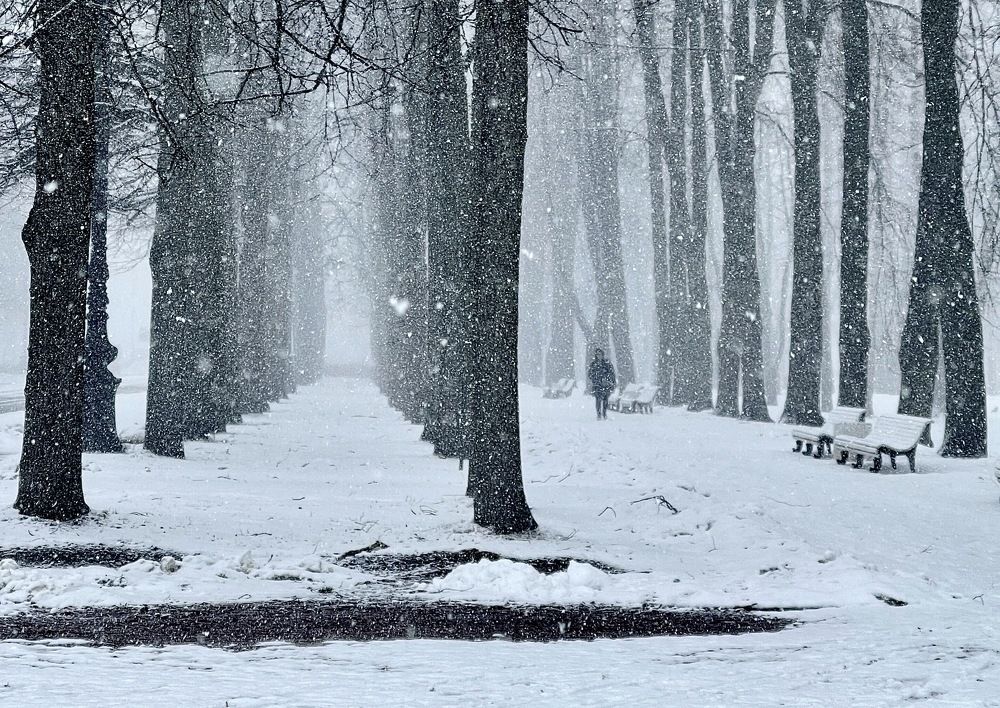 Photograph by Гордий Михаил