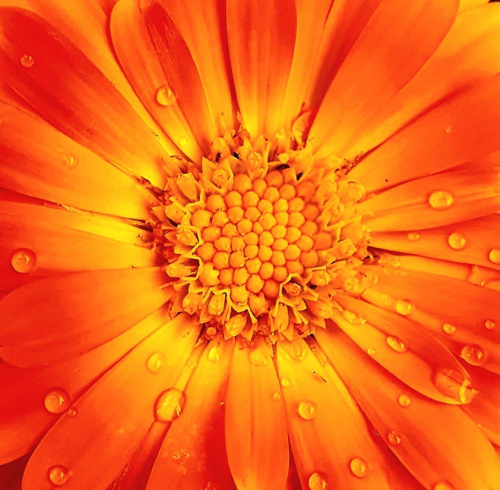 Photograph by Яна Галимуллина