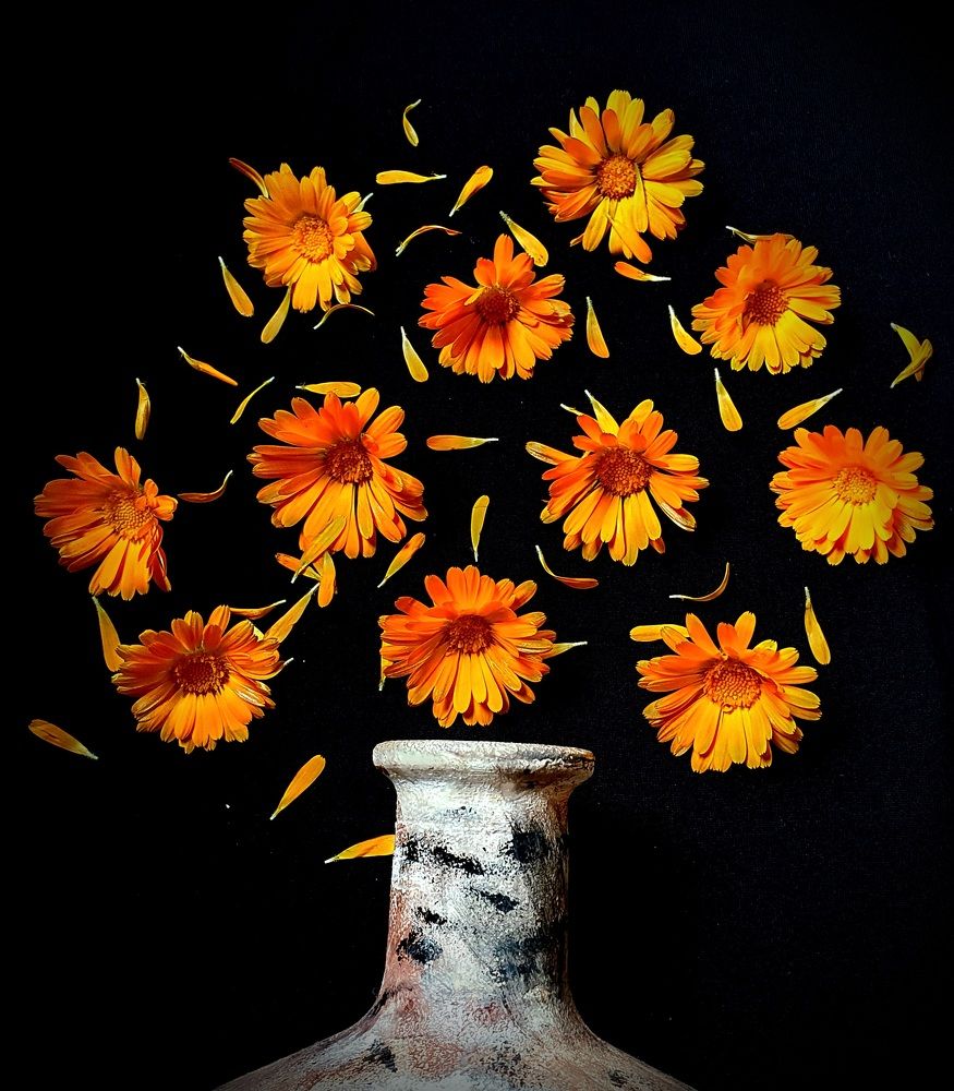 Photograph by Яна Галимуллина