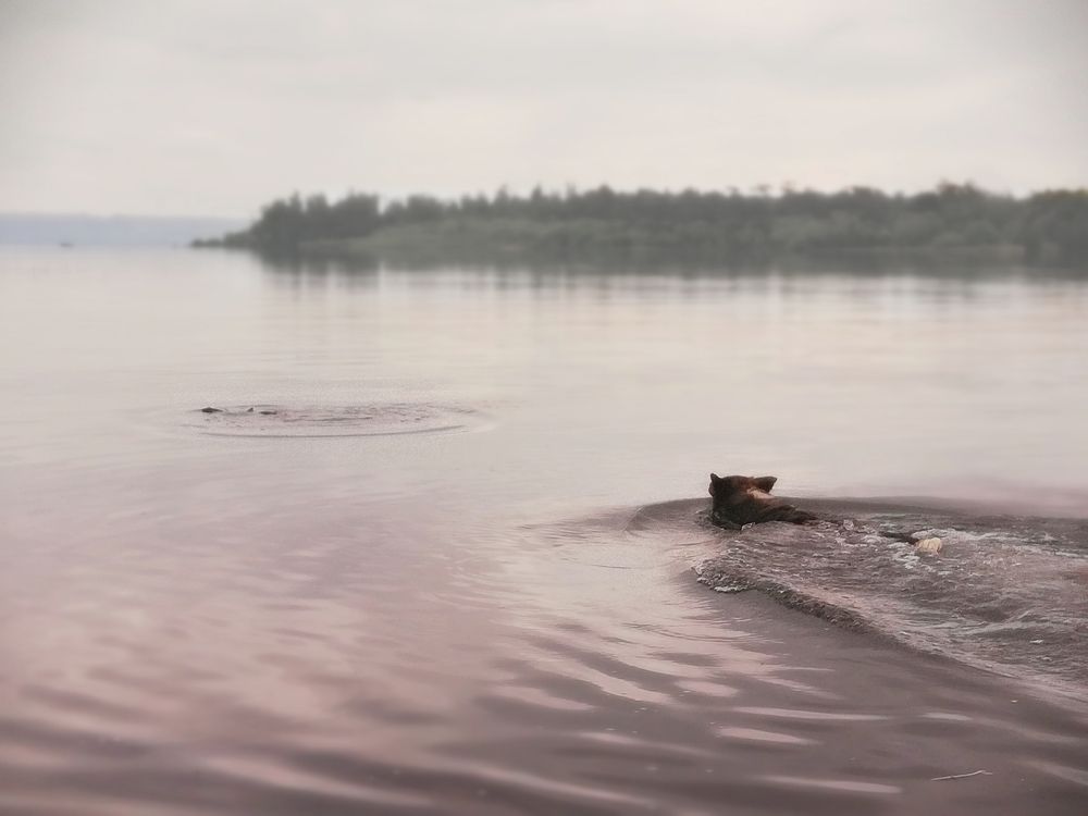 Photo #9447976