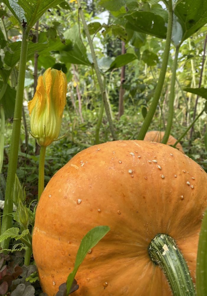 Photograph by Алиса Лукина