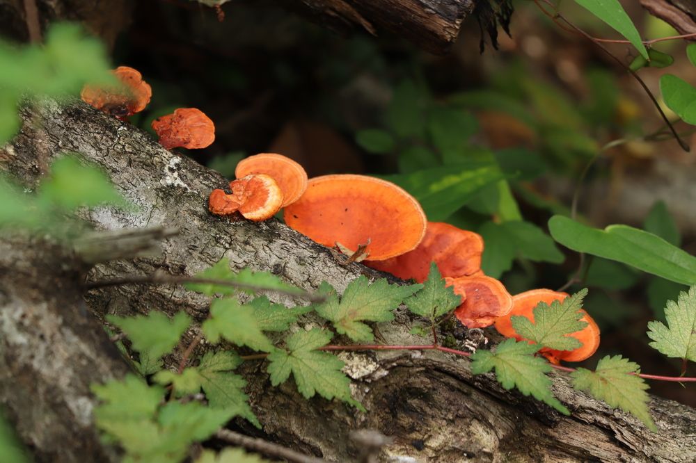 Photograph by Se Lena