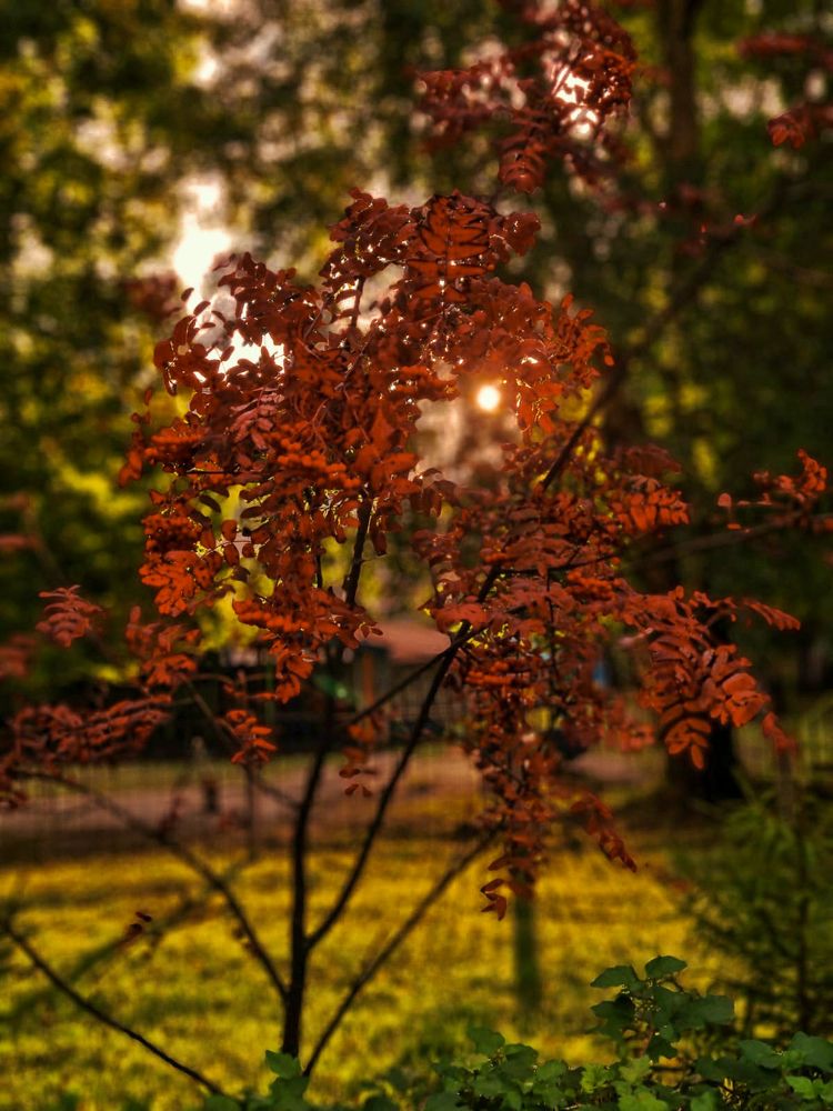 Photograph by Людмила Григорьева