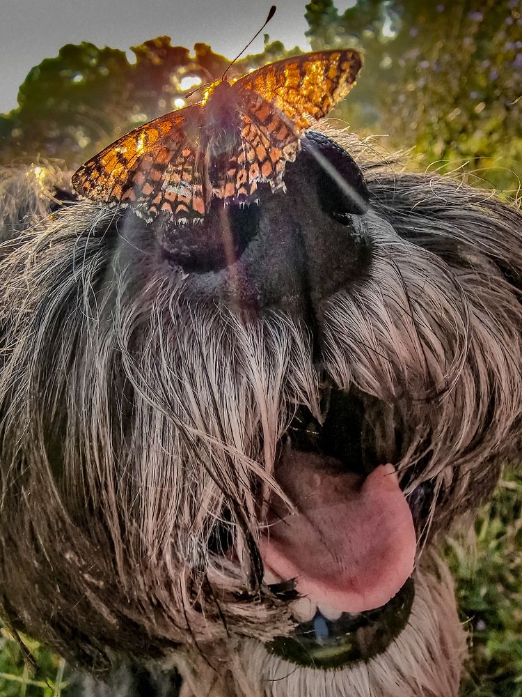 Photograph by Лариса Когтева