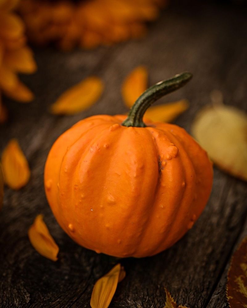 Photograph by Ирина Александрова