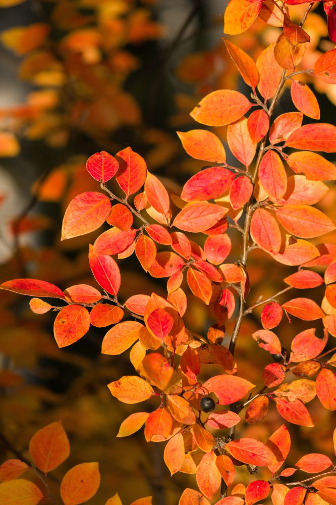 Photograph by Олег Бережных