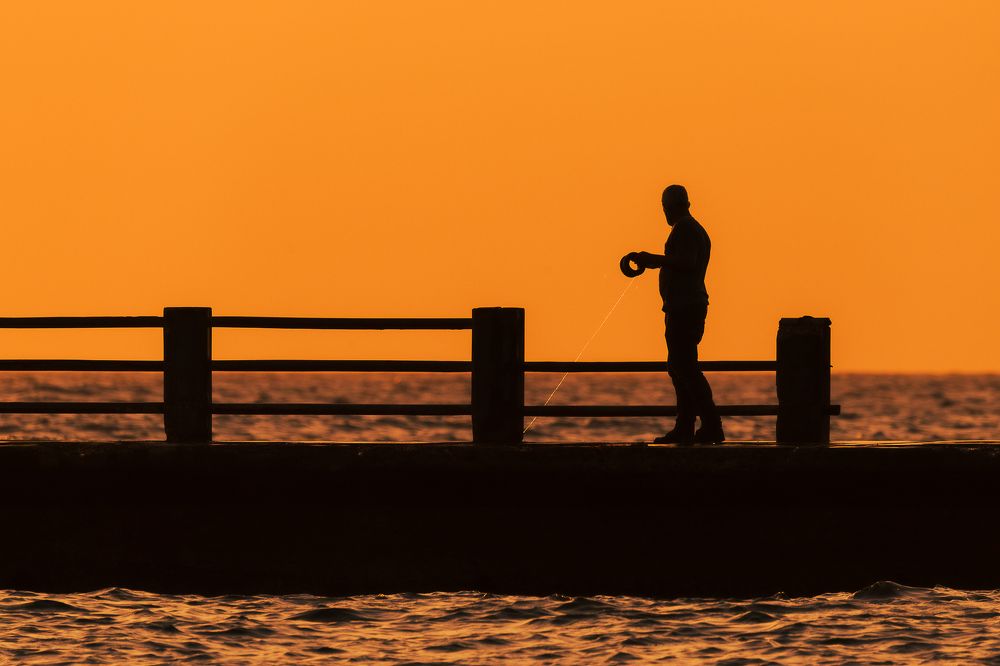 Photograph by Abel Cancino Gutierrez